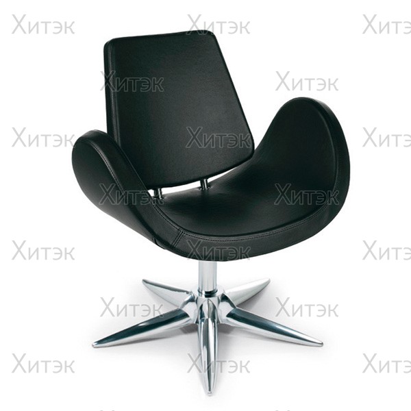 Кресло парикмахерское ALIPES CHAIR